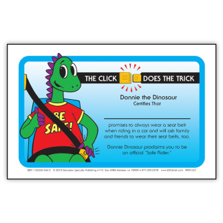seat belt safety certificate