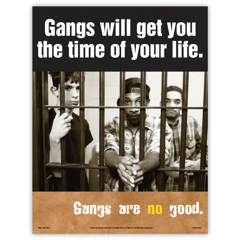 "Gangs Will Get You The Time Of Your Life" Poster