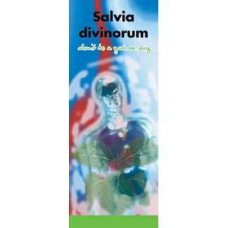 In the Know -"Salvia Divinorum: Don't be a Guinea