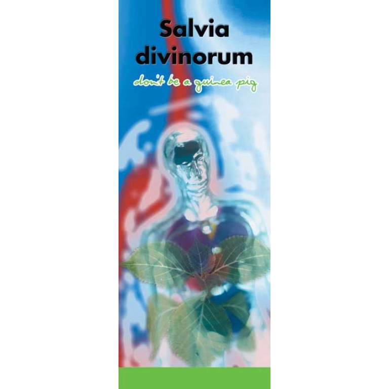 In the Know -"Salvia Divinorum: Don't be a Guinea