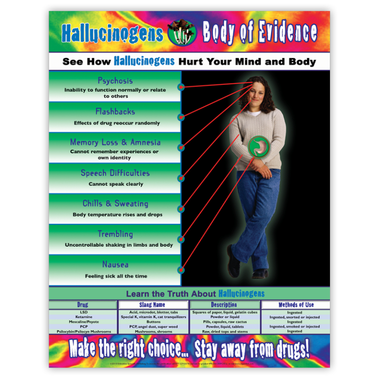 Body of Evidence: Hallucinogens Poster