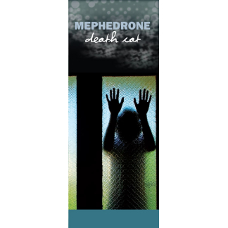 "In The Know: Mephedrone, Death Cat" Pamphlet