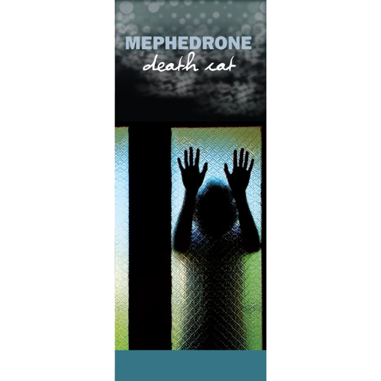 "In The Know: Mephedrone, Death Cat" Pamphlet