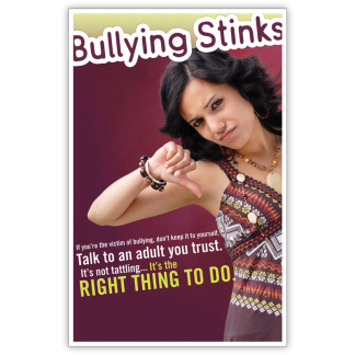 "Bullying Stinks" Poster