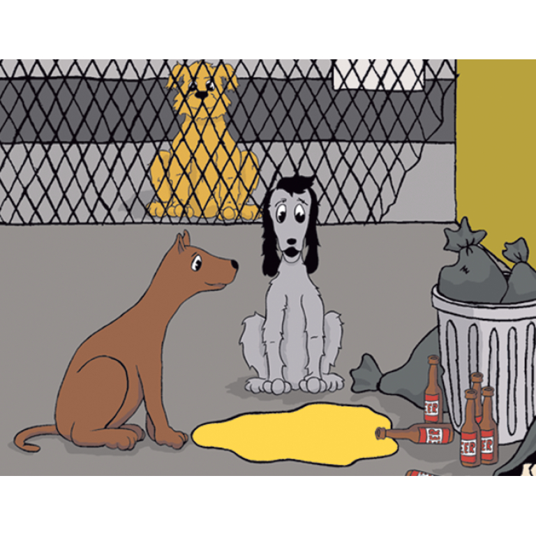 The Misadventures of Wags & Freckles: A Lesson in the Dangers of Alcohol DVD