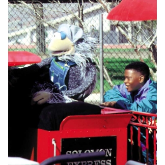 Stranger Safety DVD