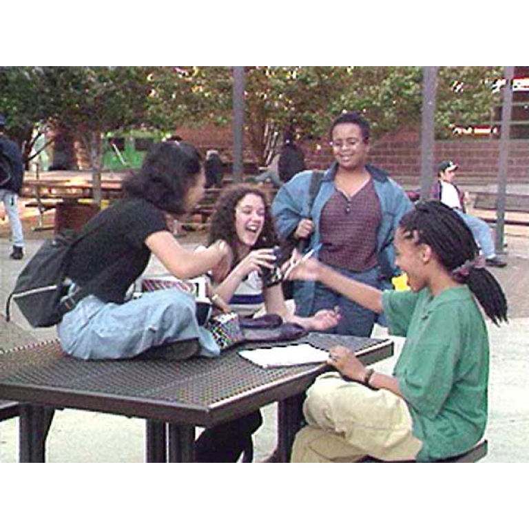 "Life Skills: Teasing and Rumors" DVD