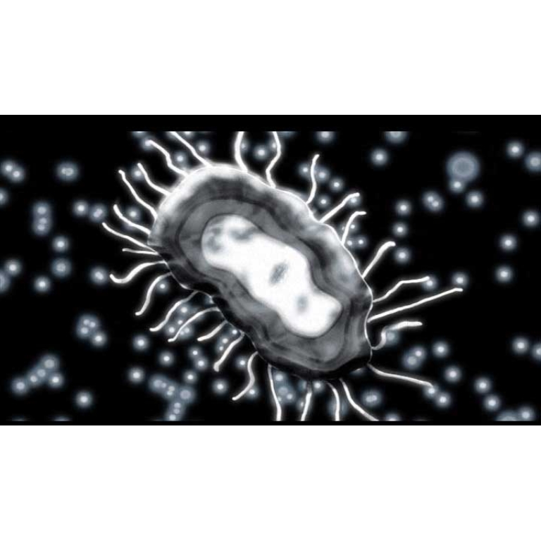 STD prevention video