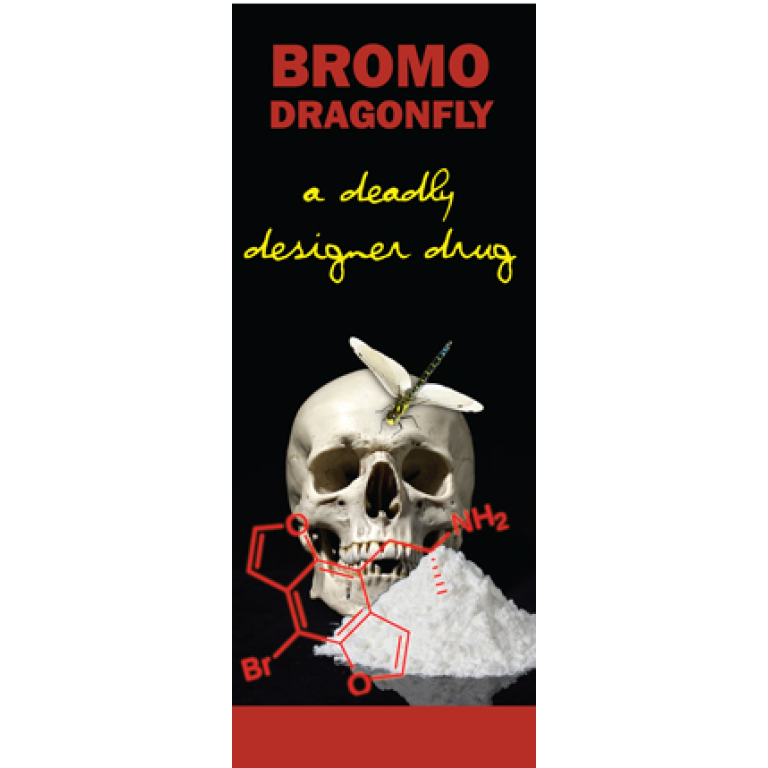 "In The Know: Bromo Dragonfly" Pamphlet