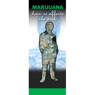 how marijuana affects the body pamphlets