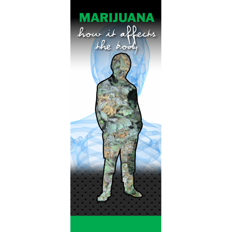 how marijuana affects the body pamphlets