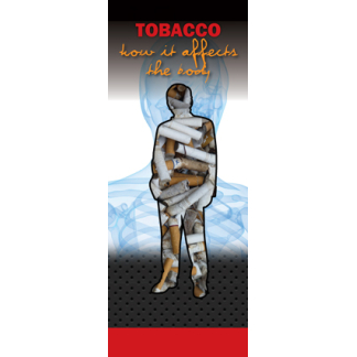"In the Know: Tobacco - How It Affects The Body" Pamphlet