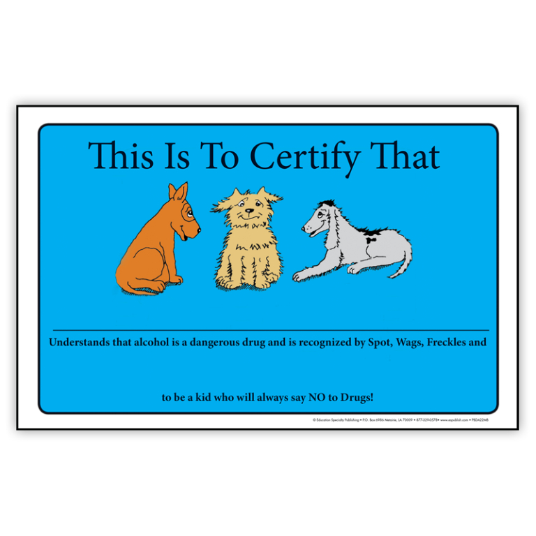 The Misadventures of Wags & Freckles Certificate