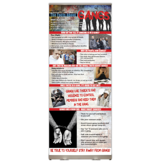 In the Know: The Facts About Gangs Presentation Display