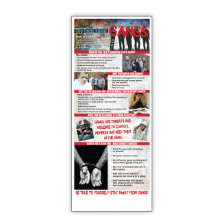 In the Know: The Facts About Gangs Presentation Card