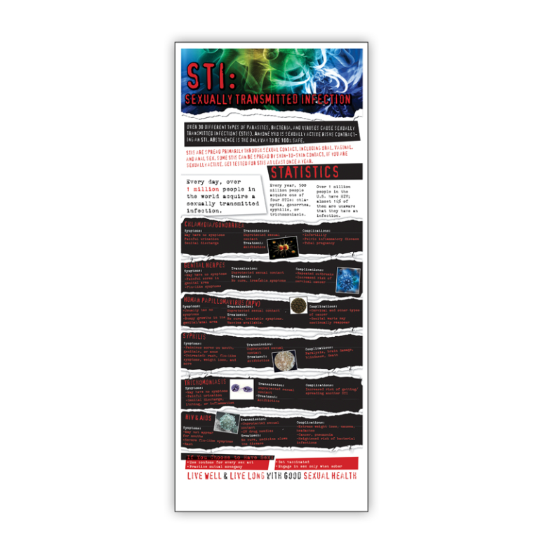 STI Awareness Presentation Cards