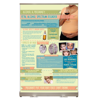 Alcohol & Pregnancy Retractable Banner FASD