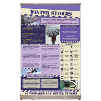 Winter Storms Tabletop Display