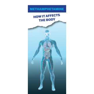 how methamphetamine affects the body pamphlets
