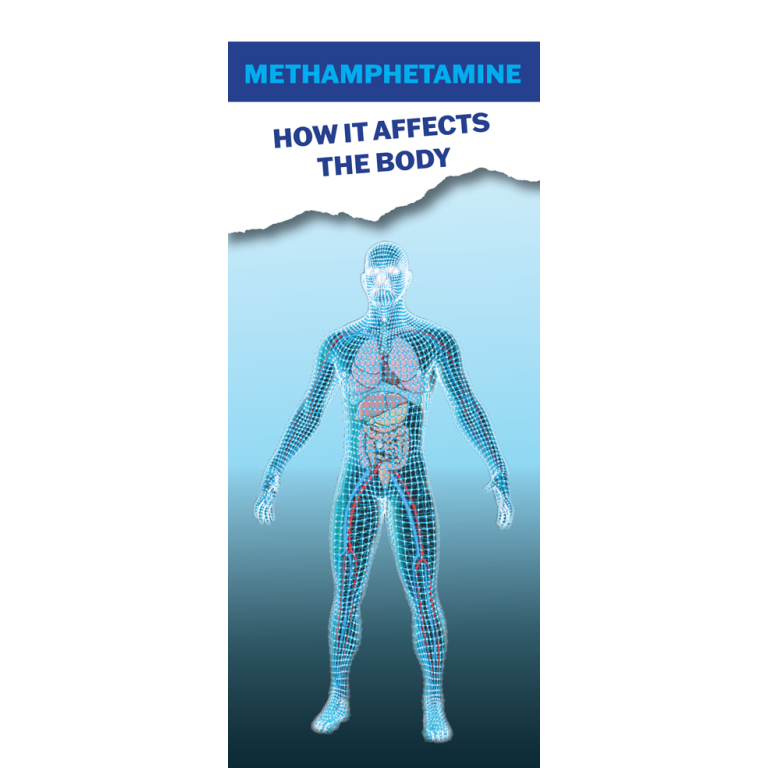 how methamphetamine affects the body pamphlets