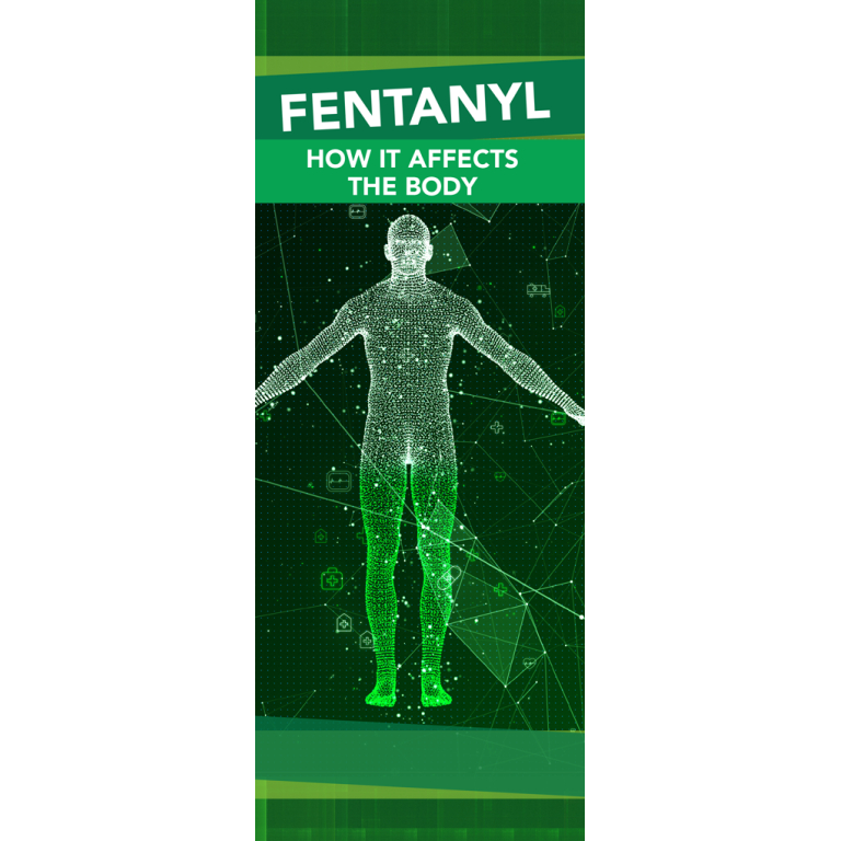 How Fentanyl Affects The Body Pamphlets
