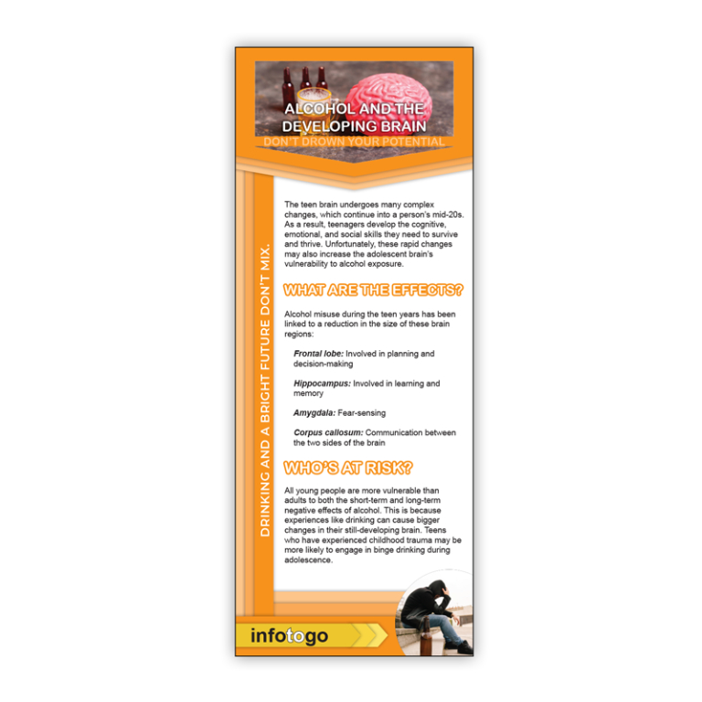 Alcohol and the Brain Rack Cards