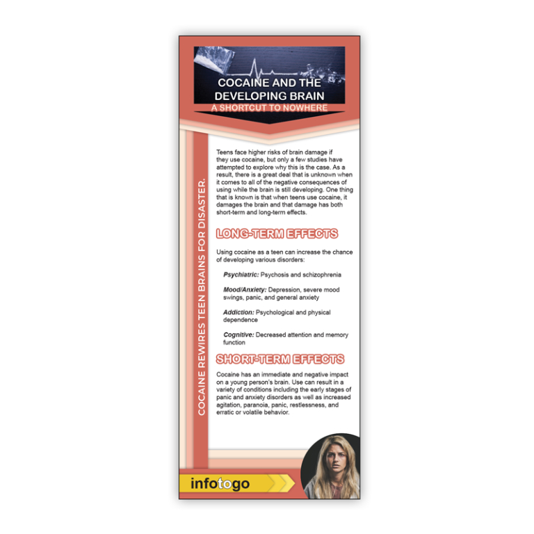 Cocaine and the Brain Rack Cards