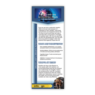 Drugs and the Brain Rack Cards