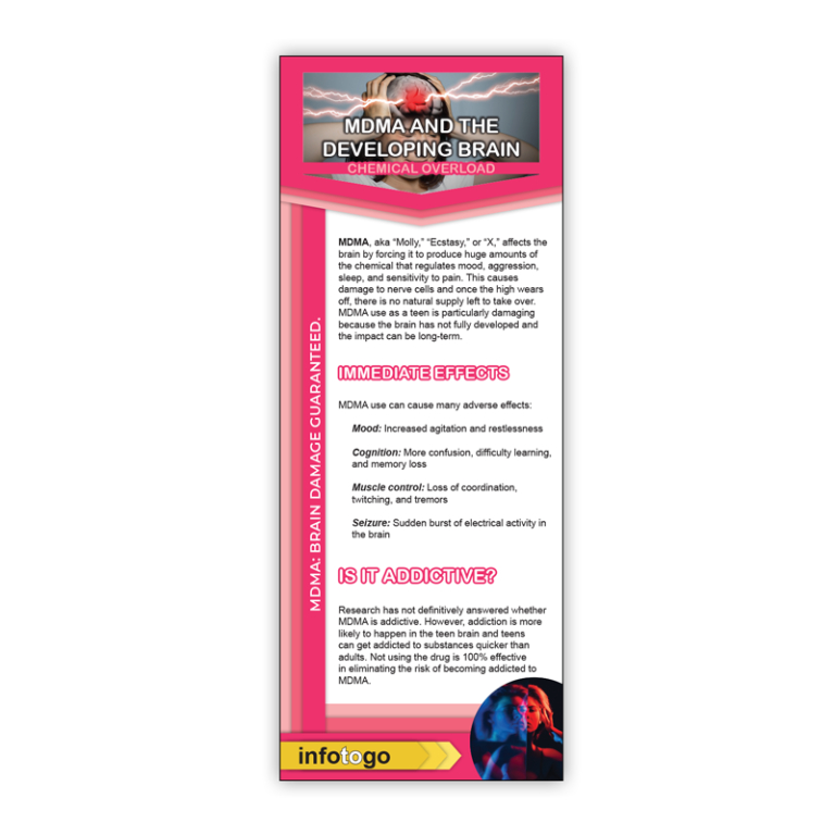 MDMA and the Brain Rack Cards