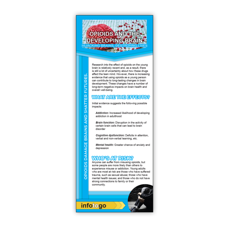 Opioids and the Brain Rack Cards