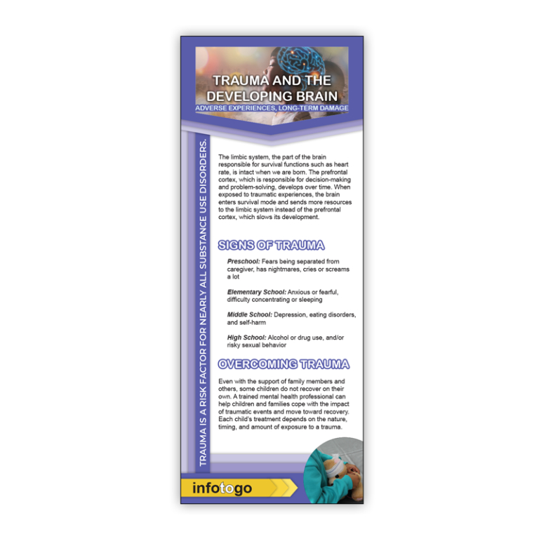 Trauma and the Developing Brain Rack Cards
