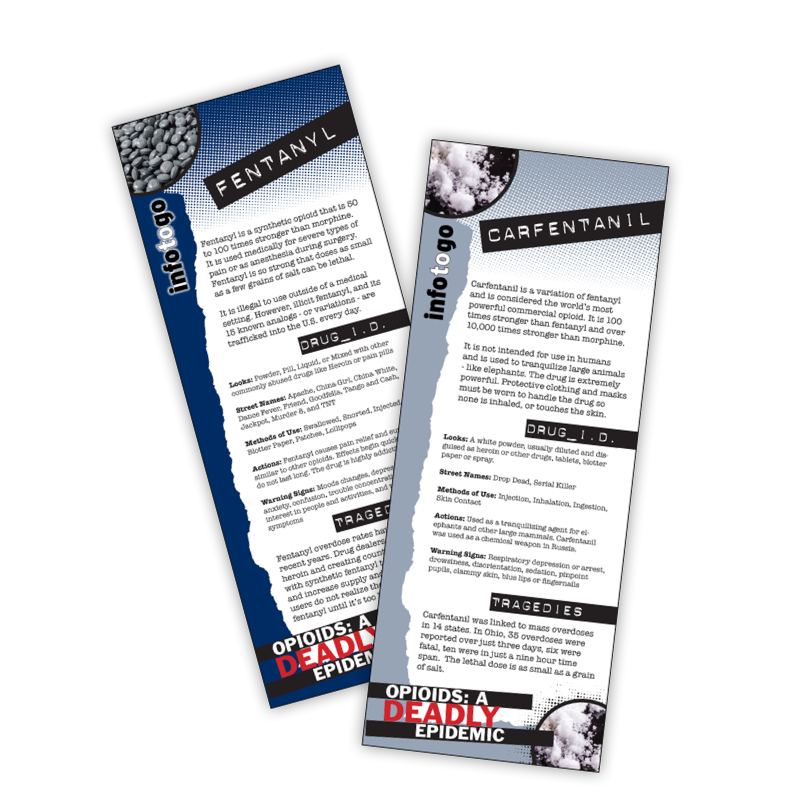 Opioid Epidemic Info